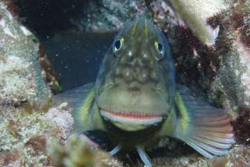 Foto captada por Domingo González y Juana Montserrat.